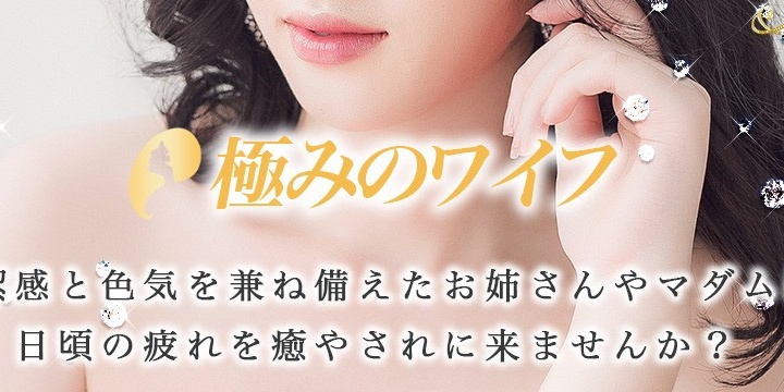 極みのワイフ